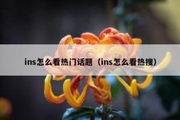 ins怎么看热门话题（ins怎么看热搜）