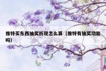 推特买东西抽奖折现怎么算（推特有抽奖功能吗）