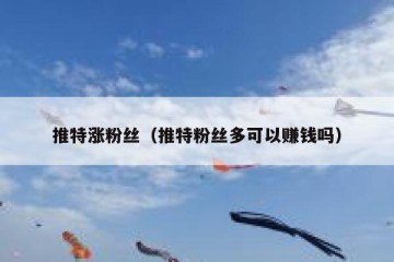 推特涨粉丝（推特粉丝多可以赚钱吗）