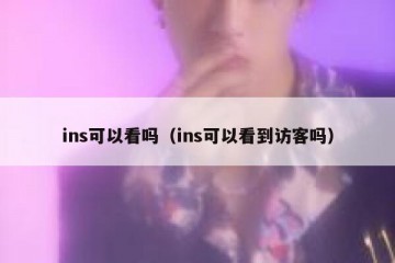 ins可以看吗（ins可以看到访客吗）