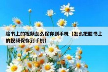 脸书上的视频怎么保存到手机（怎么把脸书上的视频保存到手机）