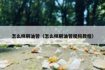 怎么样刷油管（怎么样刷油管视频教程）
