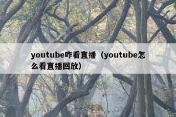 youtube咋看直播（youtube怎么看直播回放）