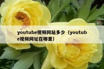 youtube视频网站多少（youtube视频网址在哪里）
