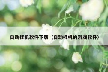 自动挂机软件下载（自动挂机的游戏软件）