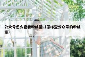 公众号怎么查看粉丝量（怎样查公众号的粉丝量）