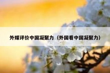 外媒评价中国凝聚力（外国看中国凝聚力）
