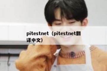pitestnet（pitestnet翻译中文）