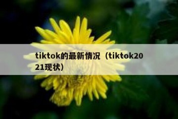 tiktok的最新情况（tiktok2021现状）