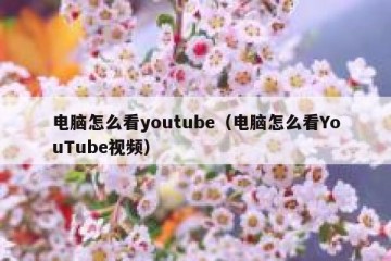 电脑怎么看youtube（电脑怎么看YouTube视频）