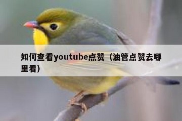 如何查看youtube点赞（油管点赞去哪里看）