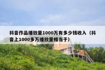 抖音作品播放量1000万有多少钱收入（抖音上1000多万播放量相当于）