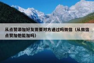 从点赞添加好友需要对方通过吗微信（从微信点赞加他能加吗）
