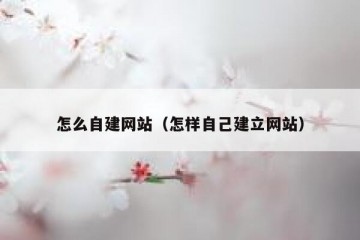 怎么自建网站（怎样自己建立网站）