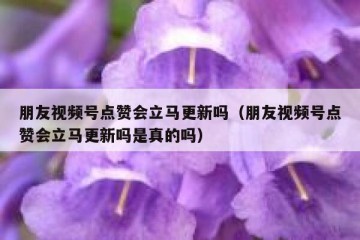 朋友视频号点赞会立马更新吗（朋友视频号点赞会立马更新吗是真的吗）