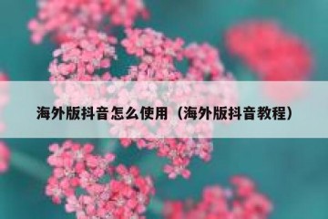 海外版抖音怎么使用（海外版抖音教程）