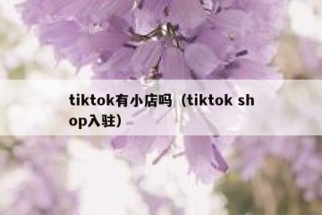 tiktok有小店吗（tiktok shop入驻）
