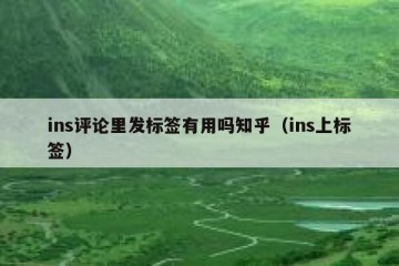 ins评论里发标签有用吗知乎（ins上标签）