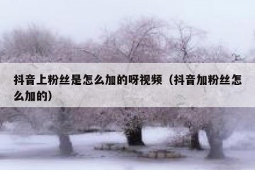 抖音上粉丝是怎么加的呀视频（抖音加粉丝怎么加的）