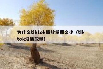 为什么tiktok播放量那么少（tik tok没播放量）