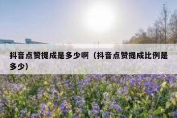 抖音点赞提成是多少啊（抖音点赞提成比例是多少）