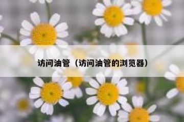 访问油管（访问油管的浏览器）