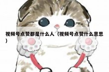 视频号点赞都是什么人（视频号点赞什么意思）