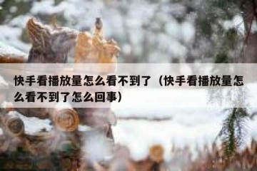 快手看播放量怎么看不到了（快手看播放量怎么看不到了怎么回事）