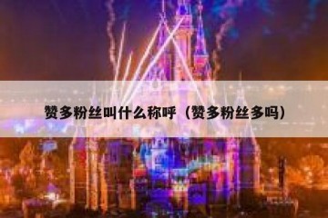 赞多粉丝叫什么称呼（赞多粉丝多吗）