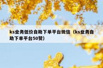 ks业务低价自助下单平台微信（ks业务自助下单平台50赞）