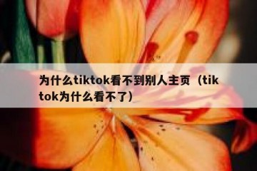 为什么tiktok看不到别人主页（tiktok为什么看不了）