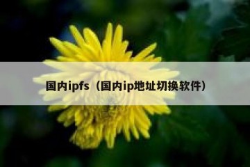 国内ipfs（国内ip地址切换软件）