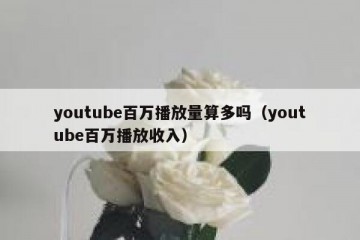 youtube百万播放量算多吗（youtube百万播放收入）
