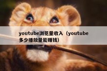 youtube浏览量收入（youtube多少播放量能赚钱）