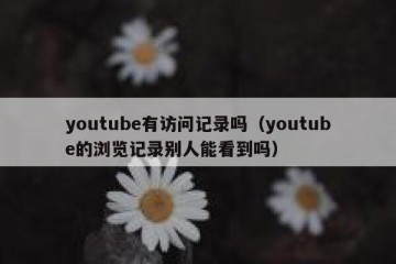youtube有访问记录吗（youtube的浏览记录别人能看到吗）