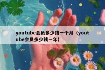 youtube会员多少钱一个月（youtube会员多少钱一年）