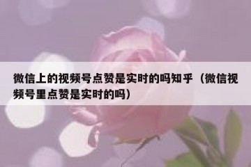 微信上的视频号点赞是实时的吗知乎（微信视频号里点赞是实时的吗）