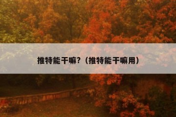 推特能干嘛?（推特能干嘛用）