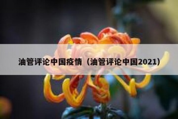 油管评论中国疫情（油管评论中国2021）