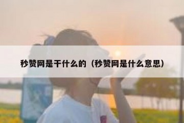 秒赞网是干什么的（秒赞网是什么意思）