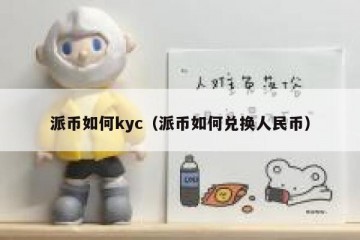 派币如何kyc（派币如何兑换人民币）