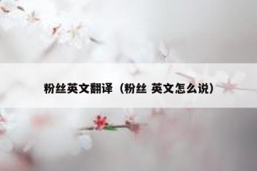 粉丝英文翻译（粉丝 英文怎么说）