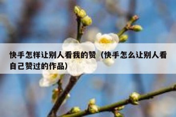 快手怎样让别人看我的赞（快手怎么让别人看自己赞过的作品）