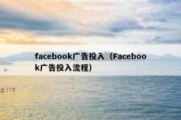 facebook广告投入（Facebook广告投入流程）