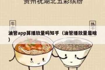 油管app算播放量吗知乎（油管播放量是啥）