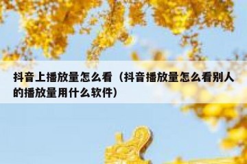 抖音上播放量怎么看（抖音播放量怎么看别人的播放量用什么软件）