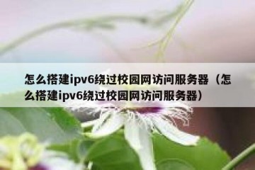 怎么搭建ipv6绕过校园网访问服务器（怎么搭建ipv6绕过校园网访问服务器）
