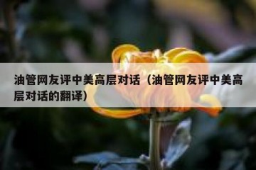 油管网友评中美高层对话（油管网友评中美高层对话的翻译）