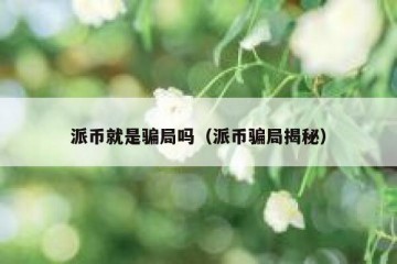 派币就是骗局吗（派币骗局揭秘）