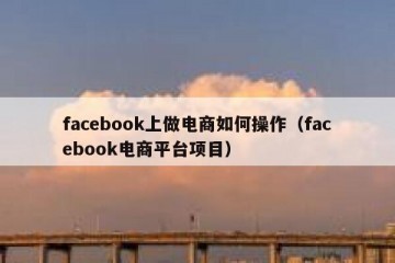 facebook上做电商如何操作（facebook电商平台项目）